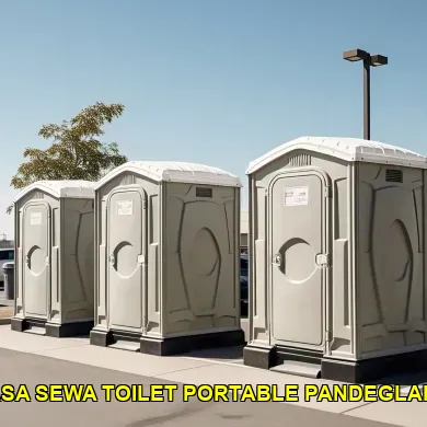 jasa sewa toilet portable pandeglang
